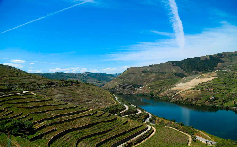 Vale do Douro - latours