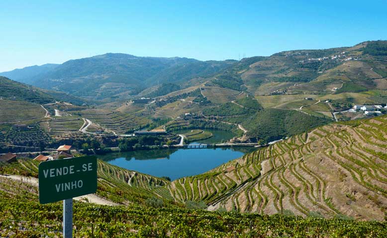 Vale do Douro - latours